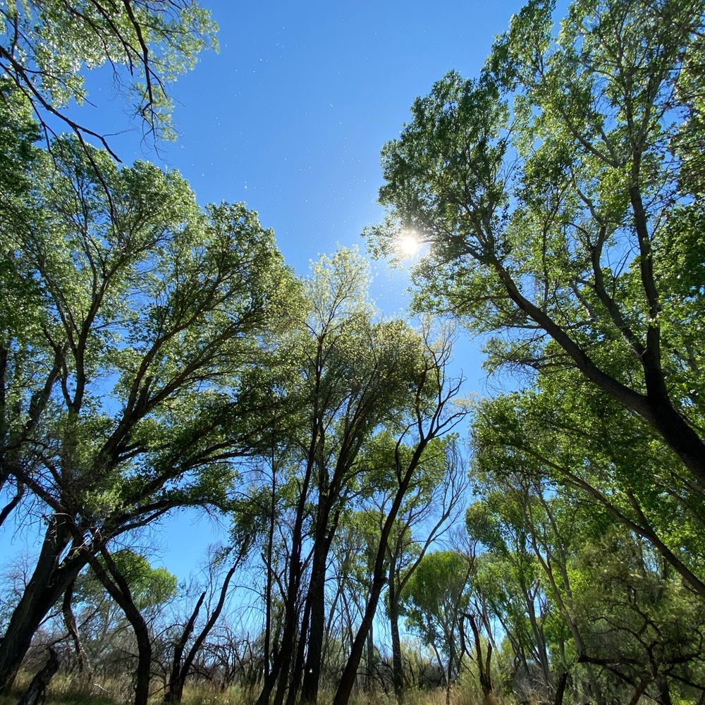 Meet your Posher, Amie